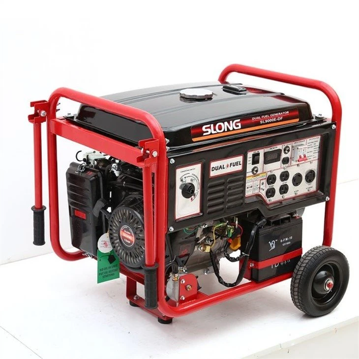 220V dual fuel generator