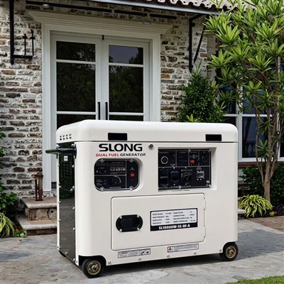 조용한 가솔린 프로판 발생기 5kw 6kw 7kw 8kw 최고의 듀얼 연료 가솔린 LPG 수출